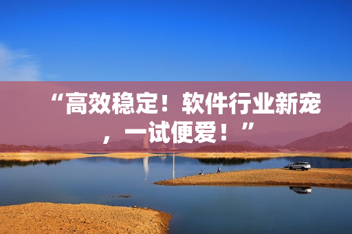 “高效稳定！软件行业新宠，一试便爱！”