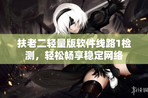 扶老二轻量版软件线路1检测，轻松畅享稳定网络