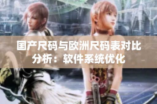国产尺码与欧洲尺码表对比分析：软件系统优化