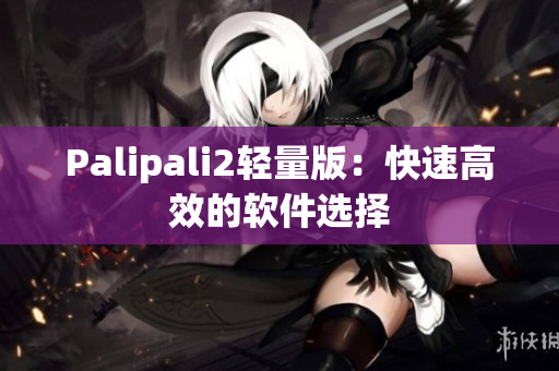 Palipali2轻量版：快速高效的软件选择