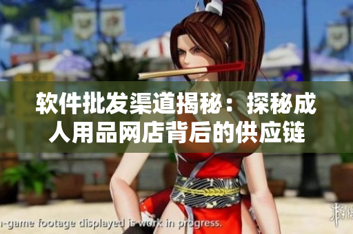 软件批发渠道揭秘：探秘成人用品网店背后的供应链