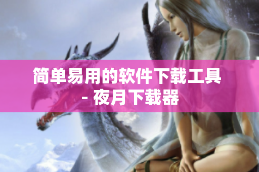 简单易用的软件下载工具 - 夜月下载器