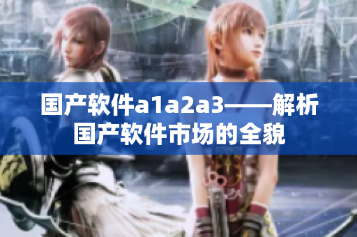 国产软件a1a2a3——解析国产软件市场的全貌