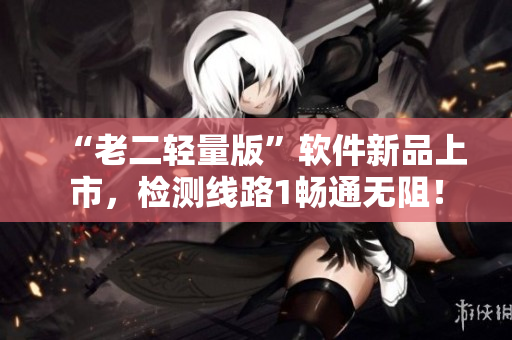 “老二轻量版”软件新品上市，检测线路1畅通无阻！