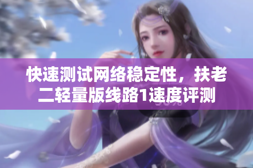 快速测试网络稳定性，扶老二轻量版线路1速度评测