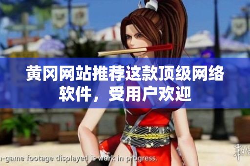 黄冈网站推荐这款顶级网络软件，受用户欢迎