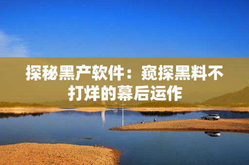 探秘黑产软件：窥探黑料不打烊的幕后运作