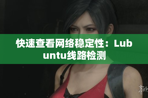 快速查看网络稳定性：Lubuntu线路检测