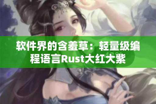 软件界的含羞草：轻量级编程语言Rust大红大紫