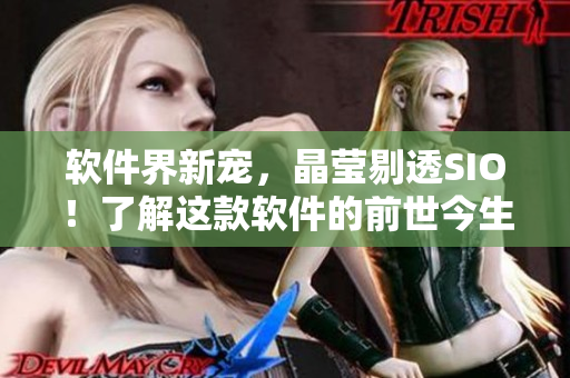 软件界新宠，晶莹剔透SIO！了解这款软件的前世今生