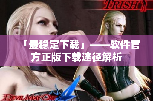 「最稳定下载」——软件官方正版下载途径解析