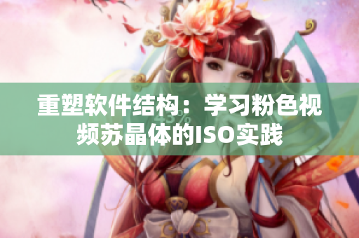 重塑软件结构：学习粉色视频苏晶体的ISO实践