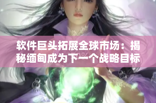 软件巨头拓展全球市场：揭秘缅甸成为下一个战略目标