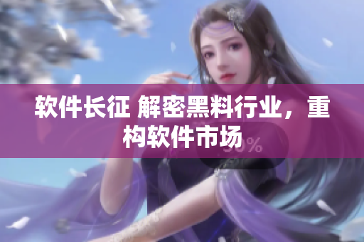 软件长征 解密黑料行业，重构软件市场