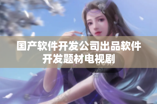 国产软件开发公司出品软件开发题材电视剧