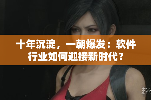 十年沉淀，一朝爆发：软件行业如何迎接新时代？