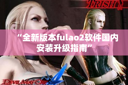“全新版本fulao2软件国内安装升级指南”