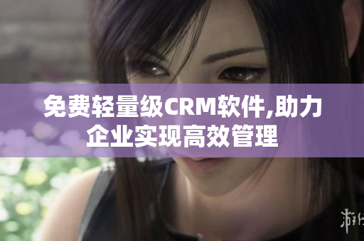 免费轻量级CRM软件,助力企业实现高效管理