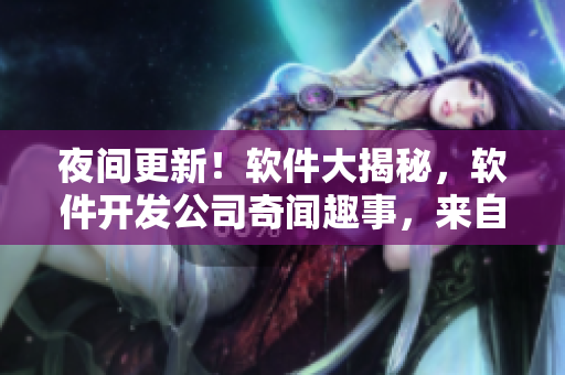 夜间更新！软件大揭秘，软件开发公司奇闻趣事，来自内部的吐槽！