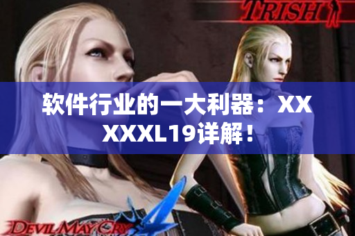 软件行业的一大利器：XXXXXL19详解！