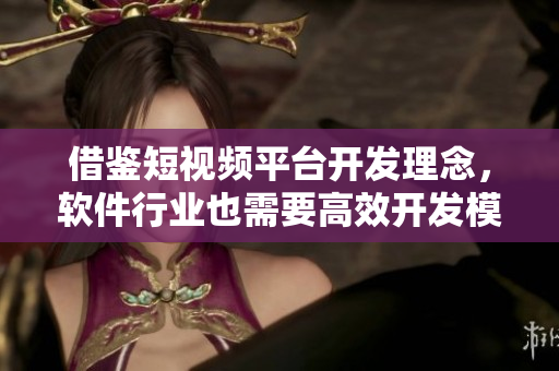 借鉴短视频平台开发理念，软件行业也需要高效开发模式！