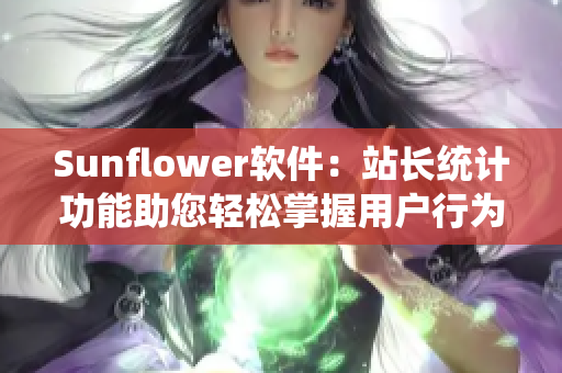 Sunflower软件：站长统计功能助您轻松掌握用户行为