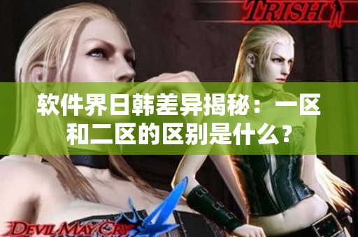 软件界日韩差异揭秘：一区和二区的区别是什么？