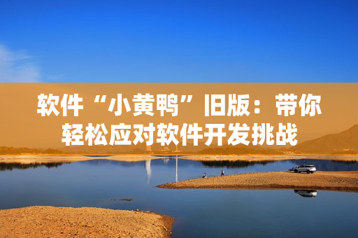 软件“小黄鸭”旧版：带你轻松应对软件开发挑战
