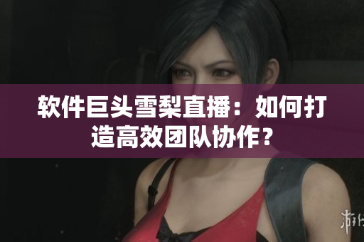 软件巨头雪梨直播：如何打造高效团队协作？