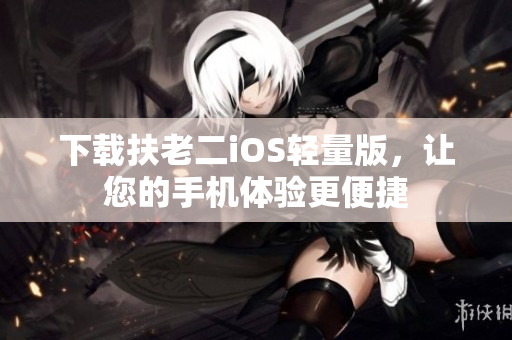 下载扶老二iOS轻量版，让您的手机体验更便捷
