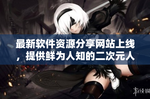 最新软件资源分享网站上线，提供鲜为人知的二次元人物桶！