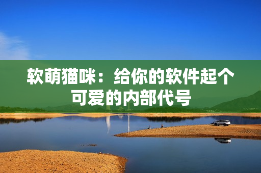 软萌猫咪：给你的软件起个可爱的内部代号