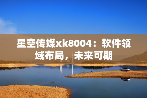 星空传媒xk8004：软件领域布局，未来可期