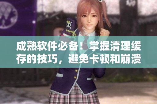 成熟软件必备！掌握清理缓存的技巧，避免卡顿和崩溃