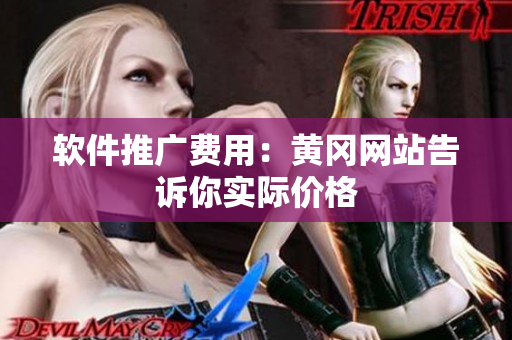 软件推广费用：黄冈网站告诉你实际价格