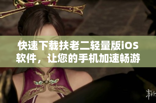 快速下载扶老二轻量版iOS软件，让您的手机加速畅游！