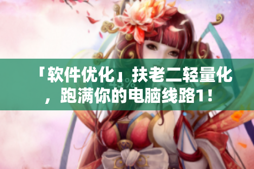 「软件优化」扶老二轻量化，跑满你的电脑线路1！