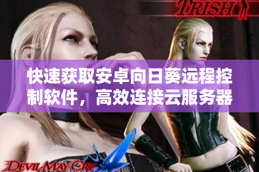 快速获取安卓向日葵远程控制软件，高效连接云服务器