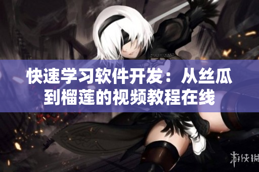 快速学习软件开发：从丝瓜到榴莲的视频教程在线