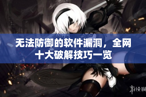 无法防御的软件漏洞，全网十大破解技巧一览
