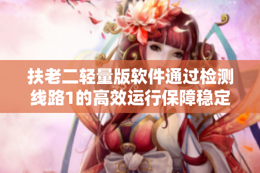 扶老二轻量版软件通过检测线路1的高效运行保障稳定连接