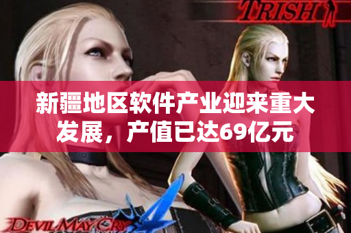 新疆地区软件产业迎来重大发展，产值已达69亿元