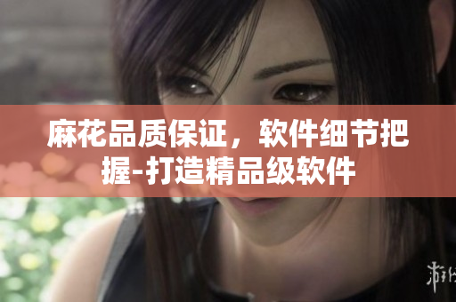 麻花品质保证，软件细节把握-打造精品级软件