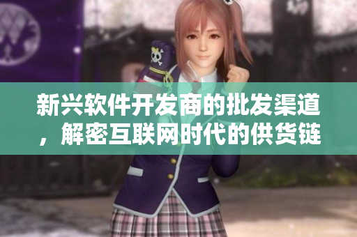 新兴软件开发商的批发渠道，解密互联网时代的供货链