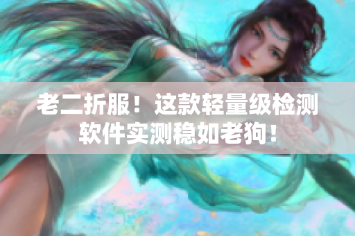 老二折服！这款轻量级检测软件实测稳如老狗！