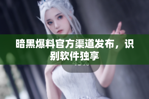 暗黑爆料官方渠道发布，识别软件独享