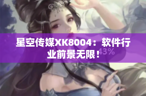 星空传媒XK8004：软件行业前景无限！