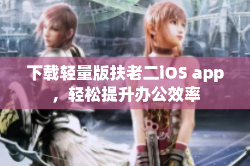 下载轻量版扶老二iOS app，轻松提升办公效率