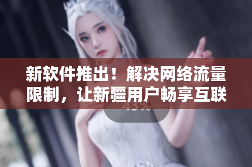 新软件推出！解决网络流量限制，让新疆用户畅享互联网