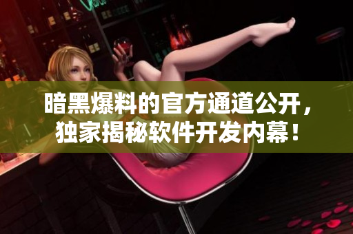 暗黑爆料的官方通道公开，独家揭秘软件开发内幕！